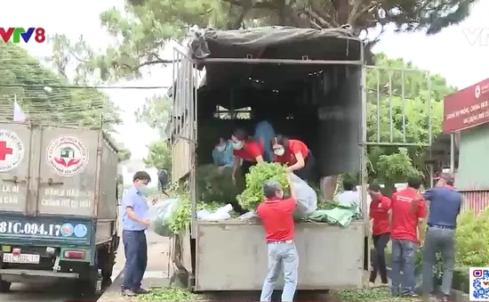 Những bó rau tình nghĩa của người Gia Lai