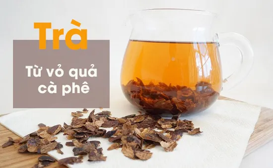 Bí quyết pha trà Cascara cực ngon từ vỏ của quả cà phê