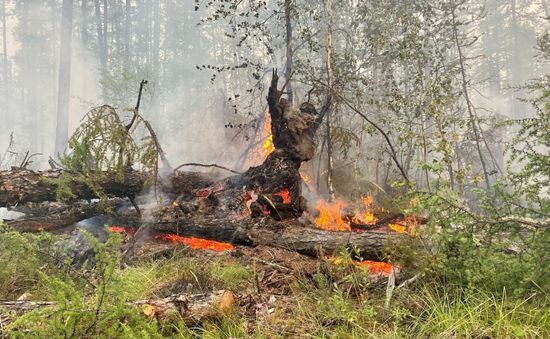 Siberia đối mặt với cháy rừng sau tháng 6 khô nóng  nhất trong 133 năm qua