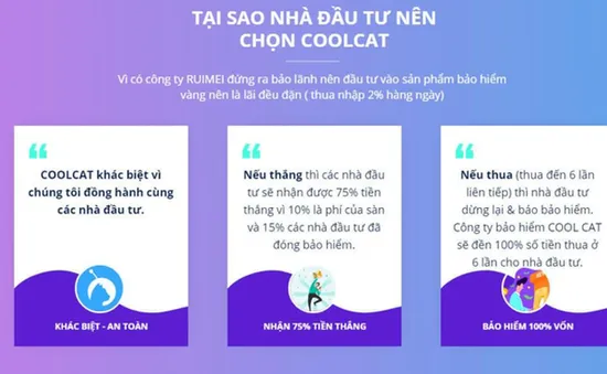 Hứa hẹn lợi nhuận khủng, các sàn đầu tư tiền ảo liên tục "bay màu"