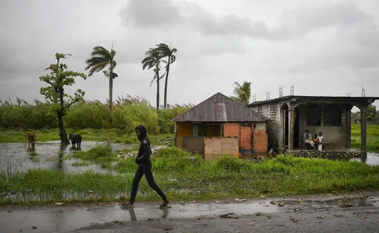 Bão Grace đổ bộ vào Jamaica, mang theo mưa to gió lớn