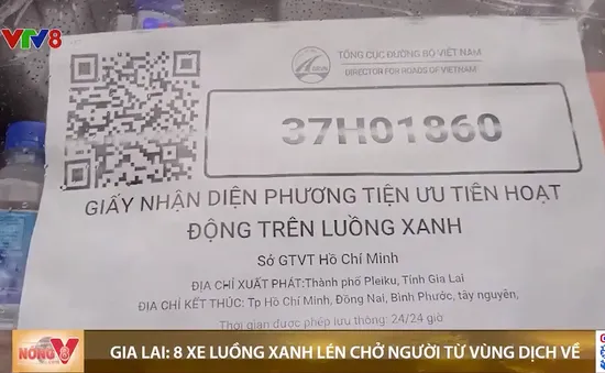 Gia Lai phát hiện 8 xe "luồng xanh" lén chở người về từ vùng dịch