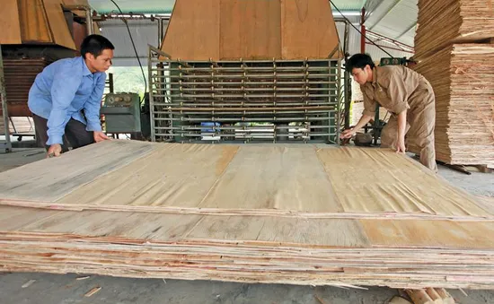 Ngăn chặn hàng xuất khẩu đội lốt “Made in Việt Nam”