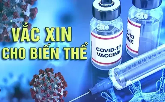 Cuộc tìm kiếm vaccine ứng phó các biến thể mới của virus SARS-CoV-2