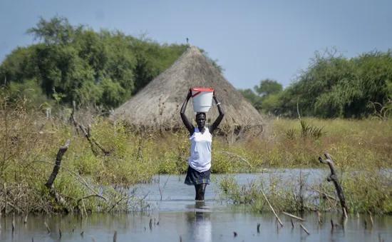 Lũ lụt nghiêm trọng tại Nam Sudan, hàng trăm nghìn cư dân bị ảnh hưởng