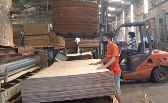 Hoa Kỳ gia hạn ban hành kết luận chống lẩn tránh thuế với gỗ dán Việt Nam