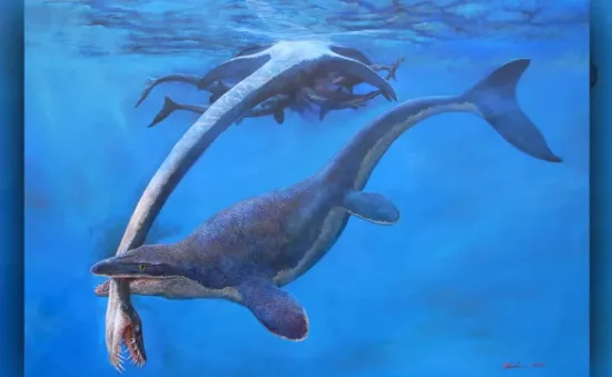 Khủng long Mosasaur - "quái vật biển" dài hơn 5m thống trị đại dương cổ đại