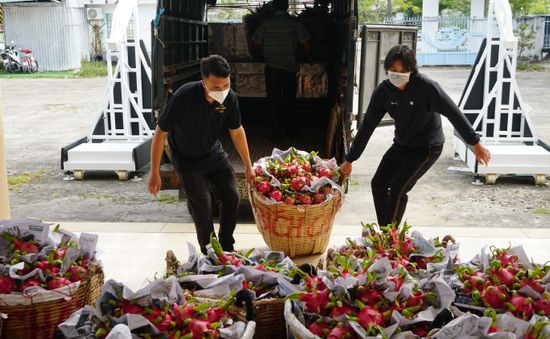 Hỗ trợ tiêu thụ nông sản nội địa để giảm áp lực cho xuất khẩu