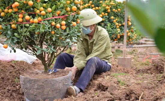 Lao động hồi hương: Khi Tết là... "gánh nặng"