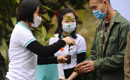 Tết An Bình 2022: “Gieo mầm xanh hy vọng”