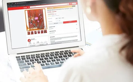 Người dân chuộng sắm Tết online