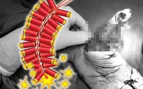Quyết liệt đấu tranh với tội phạm, vi phạm pháp luật về pháo