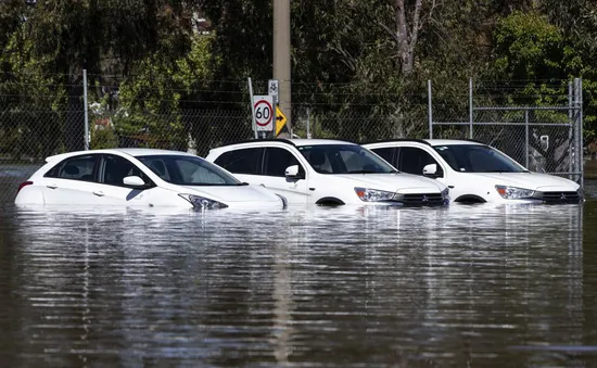 Lũ lụt kỷ lục ở Australia có thể tồi tệ hơn với dự báo sẽ tiếp tục mưa lớn