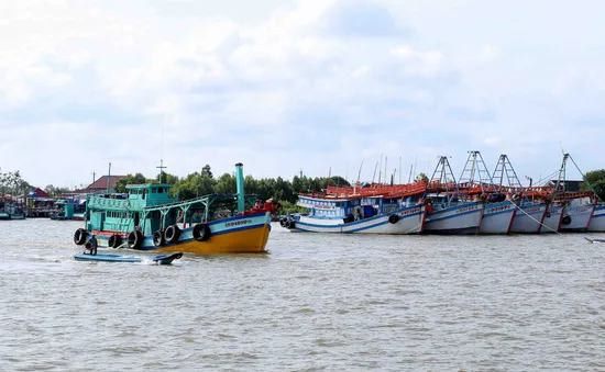 Còn nhiều tồn tại trong công tác gỡ “thẻ vàng” IUU