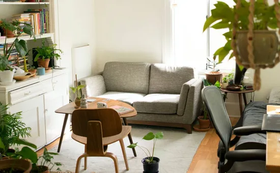 Cách xử lý sâu bọ gây hại cho cây trồng