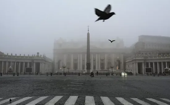 Trên 600 trường hợp lạm dụng tình dục được báo đến Vatican từ năm 2000