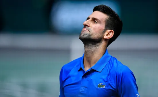 Novak Djokovic dễ dàng vào tứ kết giải quần vợt Paris Masters