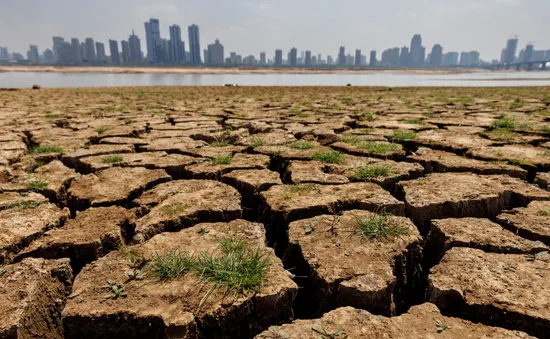 COP27: Ra mắt Liên minh quốc tế ứng phó với hạn hán