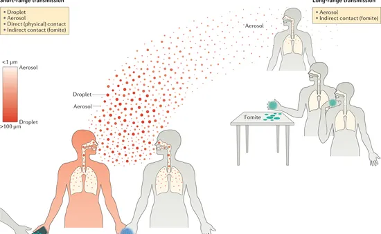 Cảnh báo các loại virus đường hô hấp hoành hành đồng thời tại châu Âu