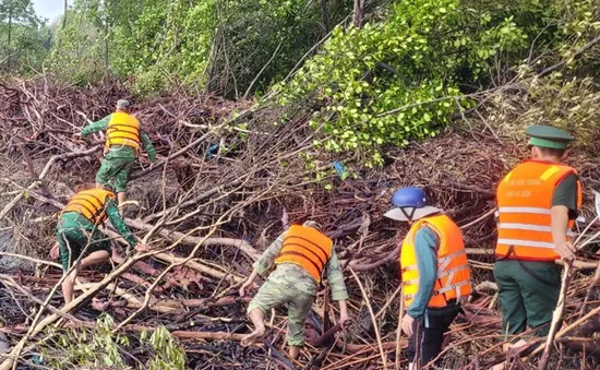 Khẩn trương tìm kiếm một cán bộ Viện Khoa học thủy lợi Miền Nam bị sóng đánh rơi xuống biển khi đang làm nhiệm vụ