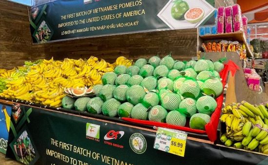 Bưởi Việt Nam lên kệ siêu thị Mỹ