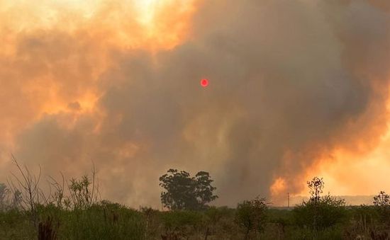 Cháy rừng tại Argentina thiêu rụi 500.000 ha trong bối cảnh hạn hán