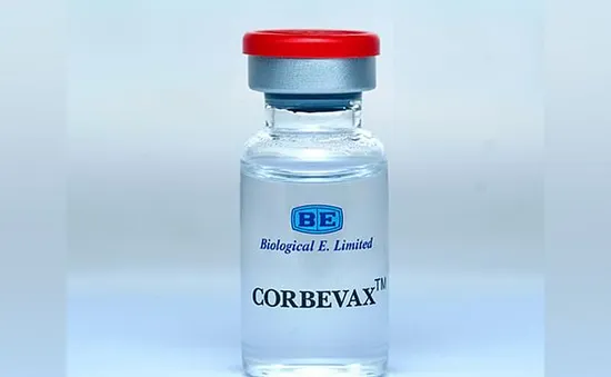 Ấn Độ phê chuẩn vaccine Corbevax cho trẻ em