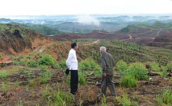 Thủ đô mới của Indonesia chỉ cho phép xe sử dụng năng lượng sạch