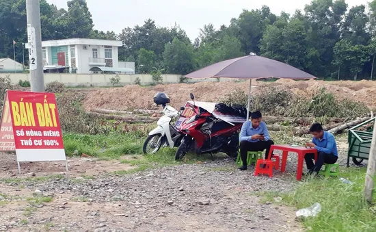 Xuất hiện tình trạng “cò” đấu giá, “quân xanh - quân đỏ”