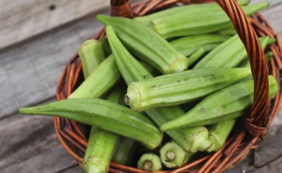 Đậu bắp - "Vũ khí" mới loại bỏ vi nhựa trong nước