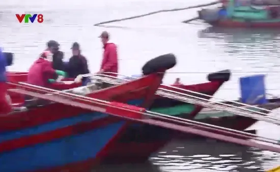 Ngư dân Hà Tĩnh nỗ lực vươn khơi bám biển
