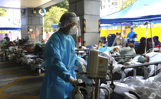 Dịch vụ vận tải, siêu thị tại Hong Kong (Trung Quốc) cắt giảm hoạt động do COVID-19