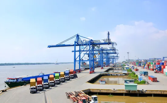 7 hiệp hội kiến nghị giãn, giảm phí cảng biển tại TP Hồ Chí Minh