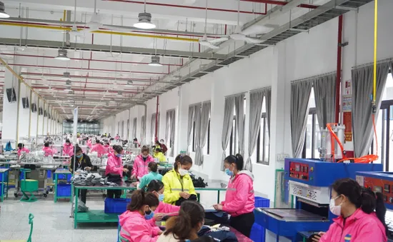Ngừng việc tập thể: Vì đâu nên nỗi?