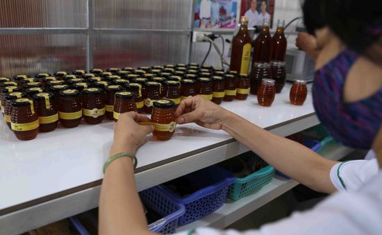 Mỹ giảm mạnh thuế chống bán phá giá mật ong Việt: Người nuôi ong và doanh nghiệp “thở phào”?