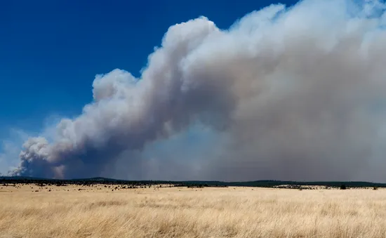 Mỹ: Cháy rừng kỷ lục bùng phát ngoài tầm kiểm soát ở bang New Mexico