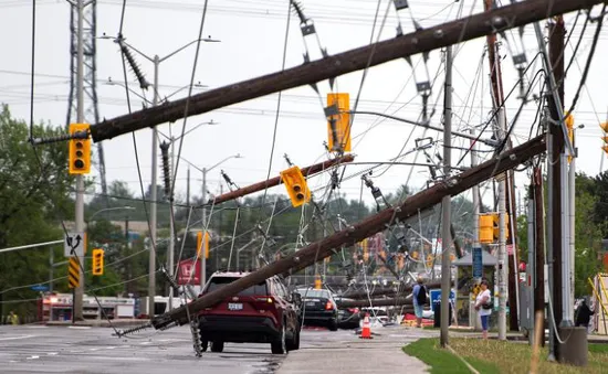 Mưa giông nghiêm trọng ở Canada khiến 5 người tử vong, hàng trăm nghìn dân bị mất điện