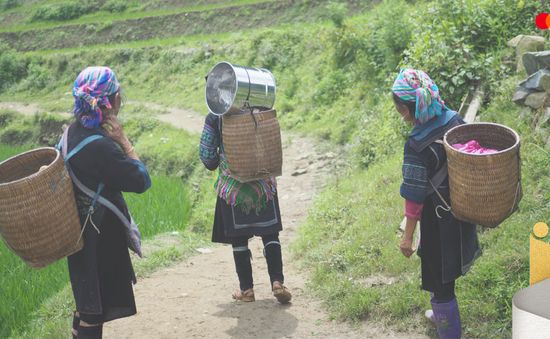 Báo cáo MIWE 2021: Nữ doanh nhân Đông Nam Á vững vàng và bền bỉ