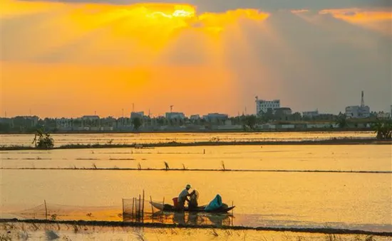 Nước sông đầu nguồn tại Đồng bằng sông Cửu Long cao hơn cùng kỳ