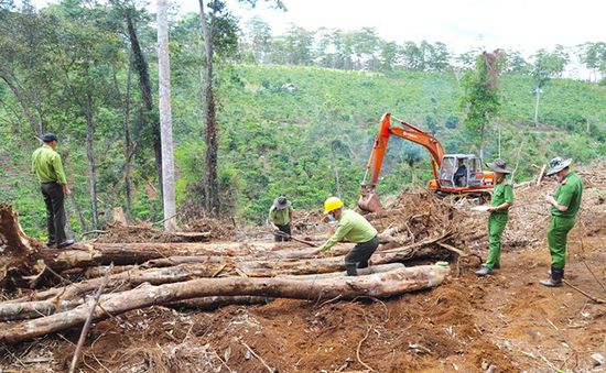 Lâm Đồng thu hồi nhiều dự án du lịch, nghỉ dưỡng triển khai chậm tiến độ