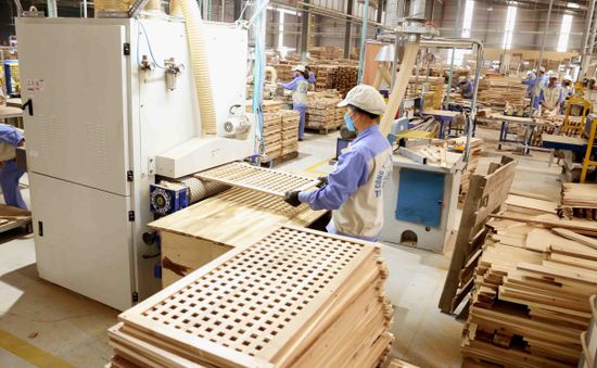 Xây dựng cơ chế giảm thiểu rủi ro cho gỗ xuất khẩu