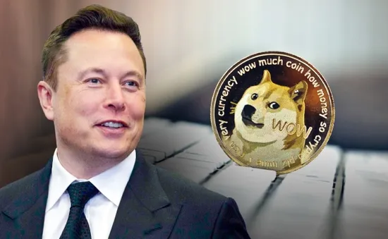 Elon Musk bị đòi bồi thường 258 tỷ USD vì thao túng Dogecoin