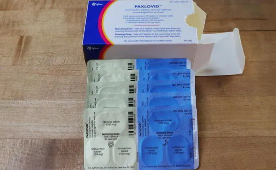 Thuốc Paxlovid làm giảm nguy cơ COVID-19 ở người cao tuổi bất kể tình trạng vaccine