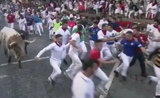 Hoảng loạn khi bò tót húc người trong lễ hội ở Tây Ban Nha