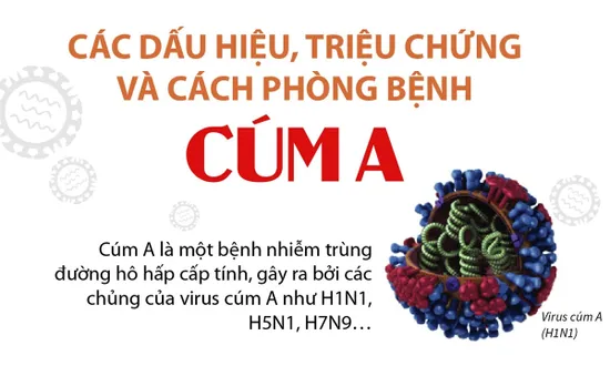 Các dấu hiệu, triệu chứng và cách phòng bệnh cúm A