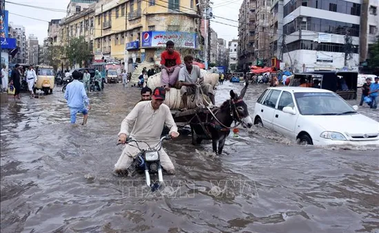 Thành phố lớn nhất của Pakistan tê liệt do mưa lớn