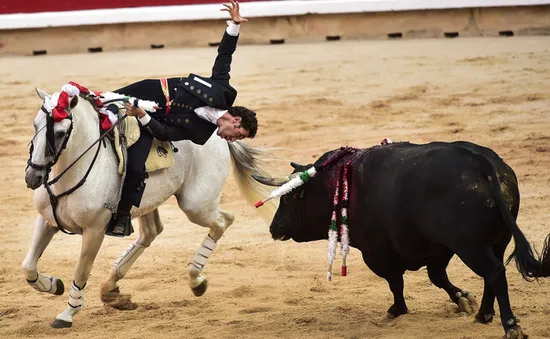 Tây Ban Nha mở lễ hội đua với bò tót đầu tiên sau 3 năm
