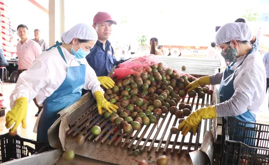 Doanh nghiệp tận dụng từng cơ hội để mở rộng xuất khẩu