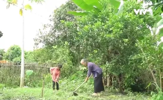 Cặp lá yêu thương: Vì con thương bà