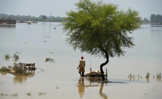 Pakistan ban bố tình trạng khẩn cấp do lũ lụt